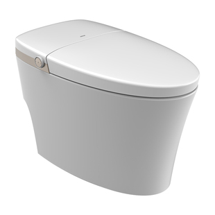 箭牌全自动家用智能马桶大冲力大水箱增压泵泡沫盾坐便器AKX1003A