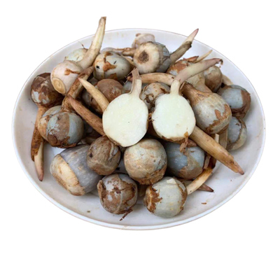 云南新鲜白慈姑现挖野地迷你小茨菇山茨菰粉糯马蹄荸荠燕尾菇蔬菜