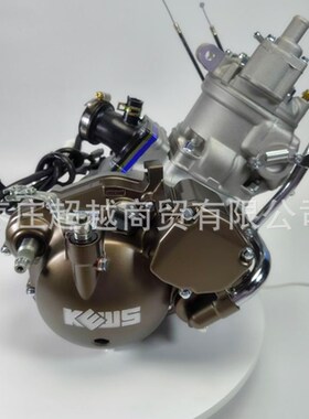 隆鑫两冲程250发动机恒舰卒玛两冲程MT250发动机总成DT230 克维思