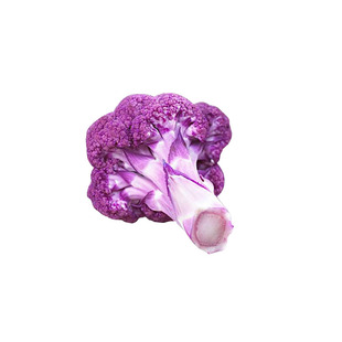 美农汇花菜种子种籽特色花椰菜金色紫色松花菜菜园西兰花籽基地用