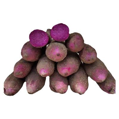 江西特产紫山药新鲜脚板参薯