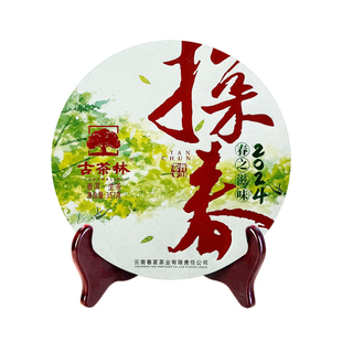 古茶林2024年头春古茶探春普洱茶生茶临沧古树拼配普洱茶茶叶357g