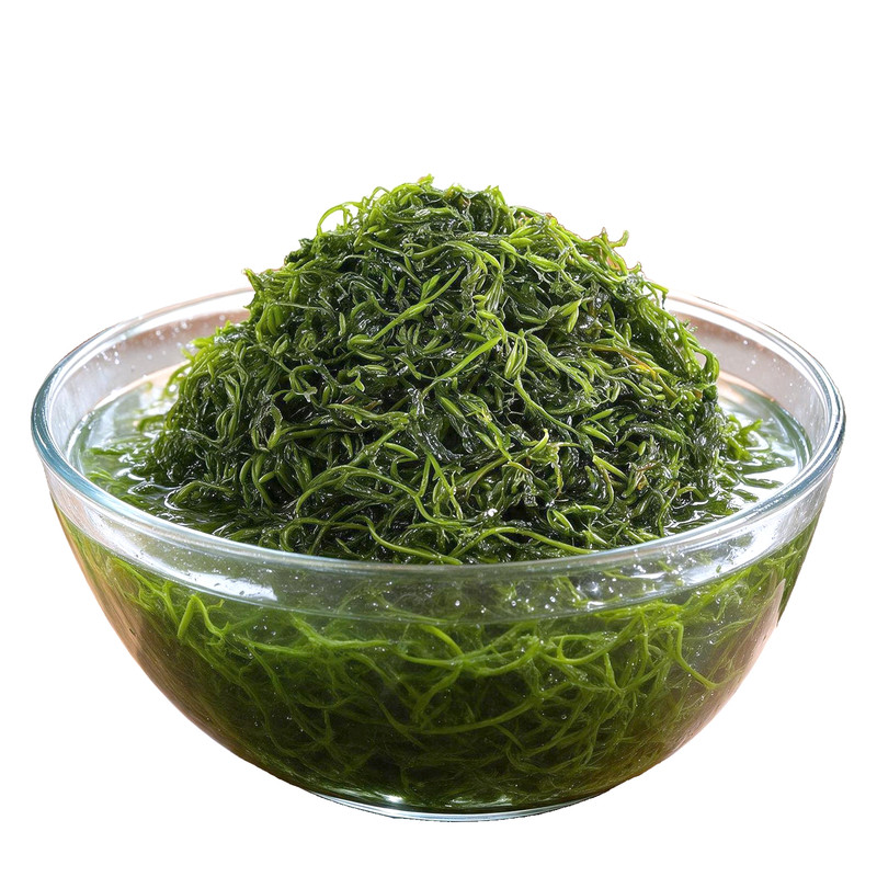 鞭炮笋火锅食材海藻菜羊栖凉拌菜海草火炮菜长菜寿龙须盐渍马尾藻