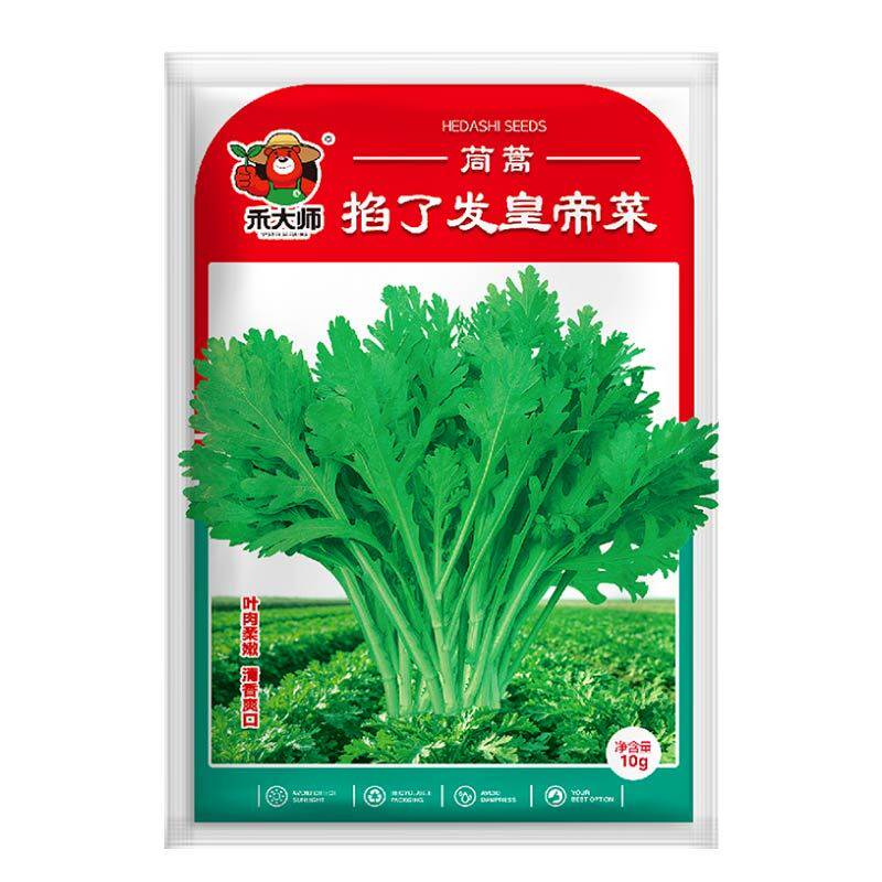 正宗掐了发茼蒿种子脆嫩多茬采收四季高产阳台小院蔬菜种子皇帝菜