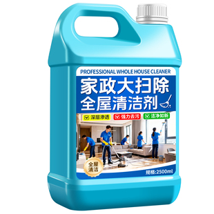 清洁剂保洁专用大扫除多功能泡沫清洗剂强力去污神器玻璃工具浴室