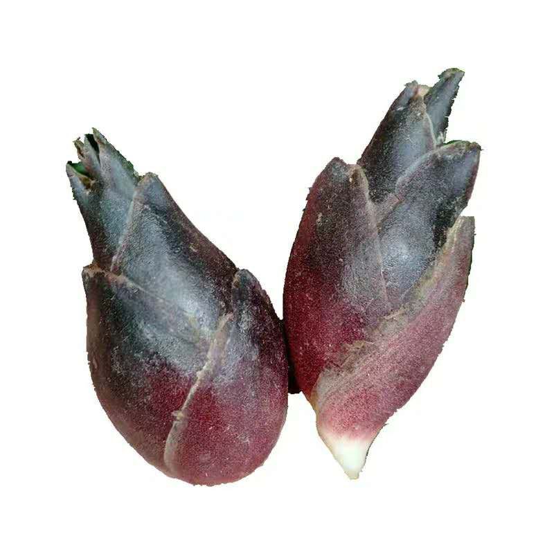 贵州农家当季新鲜阳荷姜包邮