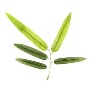 仿真竹叶藤条假竹子枝装饰造景支塑料植物缠绕小绿叶毛竹藤蔓柳条