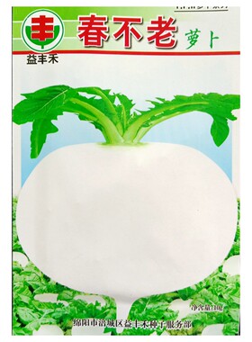 耐寒春不老白萝卜圆白皮种子10克