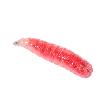 红蛆虫活饵钓鱼虫饵活饵