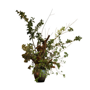 妖及 新中式仿真干枝花艺大堂摆件 样板间高级感禅意玄关桌面陈设