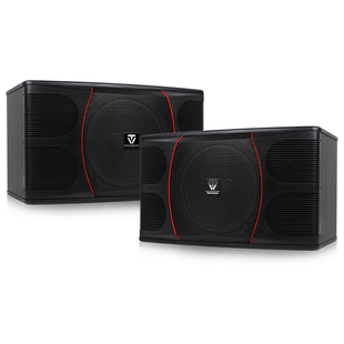 Winner/天逸 BL-03百灵三号专业卡拉OK音箱家用卡包箱