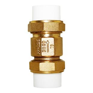 天一金牛全铜ppr双活接止回阀立式卧式4分6分1寸单向阀PE止逆阀