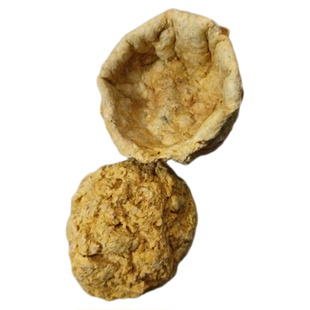 羊胎盘中药材500克正品高温烘干羊胎盘羊胞衣羊房子羊胎素胎盘粉