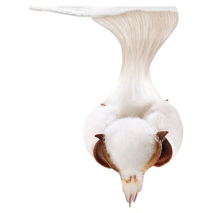 三利纯棉纱布浴袍女吸水速干四季通用洗澡可穿浴巾全棉睡袍浴衣男