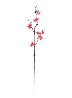 腊梅客厅仿真梅花枝摆件家居装饰