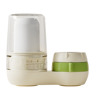 双枪水龙头净水器家用直饮厨房