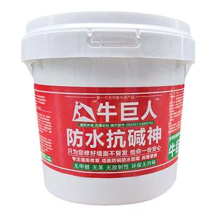 墙面防水防霉防碱墙壁修复返潮泛碱长白毛处理补墙膏腻子墙碱渗水