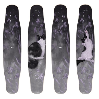 喵板长板dancing舞板初学者滑板