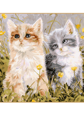 非之语数字油画diy手工小猫咪