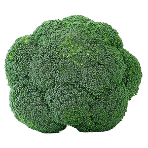 日本耐寒优秀炎秀西兰花种籽孑西兰花种子四季蔬菜种籽菜种西蓝花