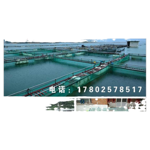 鱼苗养殖尼龙网箱养鱼箱养鱼大网箱水产养殖专用渔网存鱼网箱网池