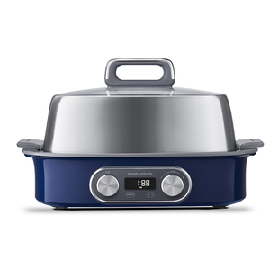 摩飞极速电蒸锅蒸汽锅多功能家用小型隔水蒸炖锅预约定时蒸烤箱