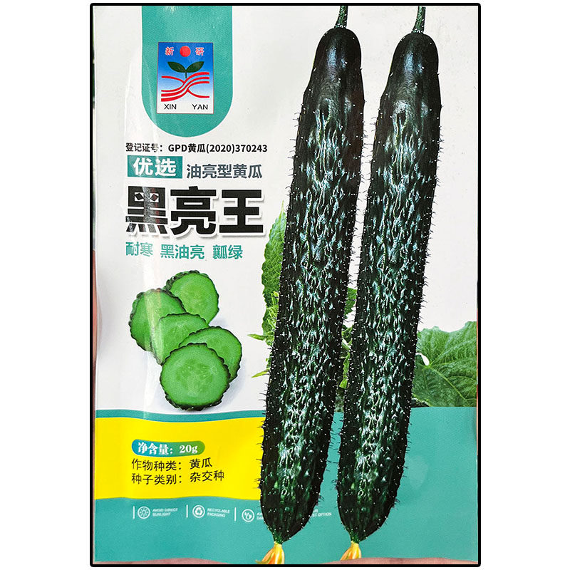 黑亮王油亮型青黄瓜蔬菜种子高产