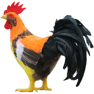 仿真公鸡山鸡红腹锦鸡鸳鸯摆件母吉祥物教具羽毛客厅热销动物模型