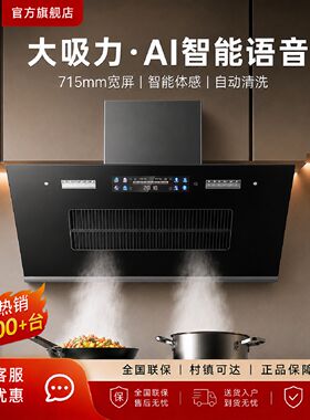 新飞油烟机厨房家用大吸力侧吸式强力抽风机出租房公寓抽油烟机
