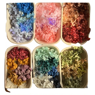 多巴胺绣球永生花安娜紫阳花干花diy手工材料包独角兽暴力熊1克
