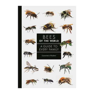 【现货】Bees of the World: A Guide to Every Family,世界蜜蜂指南 英文原版图书籍进口正版 Laurence Packer 社会科学