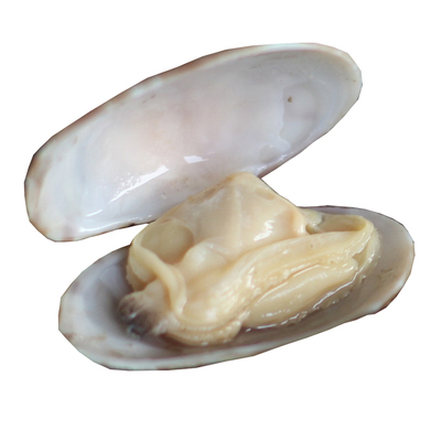 海东青开袋即食无沙熟食原味蛤蜊