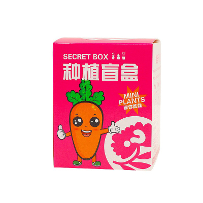 儿童种植盲盒科学实验套装