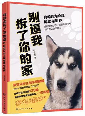 读懂狗狗心，告别拆家烦恼