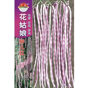 花豇豆种子胖儿豇江豆种籽长豆角种子架豆四川春季农家田园蔬菜孑