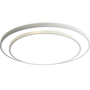 箭牌客厅灯现代简约大气2025新款护眼大尺寸大厅主灯圆形吸顶灯具