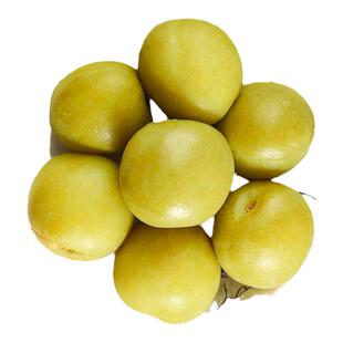 晋龙爽口梅500g清脆爽梅子青口梅小包装新鲜大青脆梅青梅果干零食