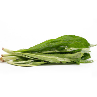 云南农家新鲜大香菜/芫荽 刺芫荽缅刺芫泰国香菜 刺芹傣味1/2/3/5