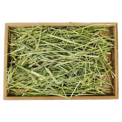 兔子龙猫干草提摩西草苜蓿草段