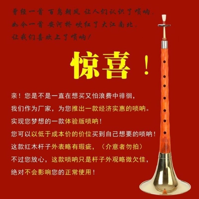 唢呐专业乐器全套初学者成人号调大中小邮入门D喇叭儿童吹奏包