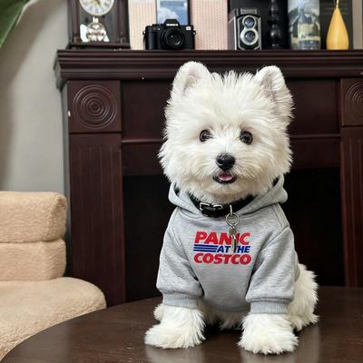 宠物狗狗衣服小型犬比熊泰迪雪纳瑞猫咪连帽卫衣防掉毛2025新款秋