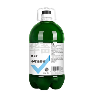 华畜小球藻藻种浓缩复合硅藻种水产养殖鱼塘用肥水培藻增氧培藻类