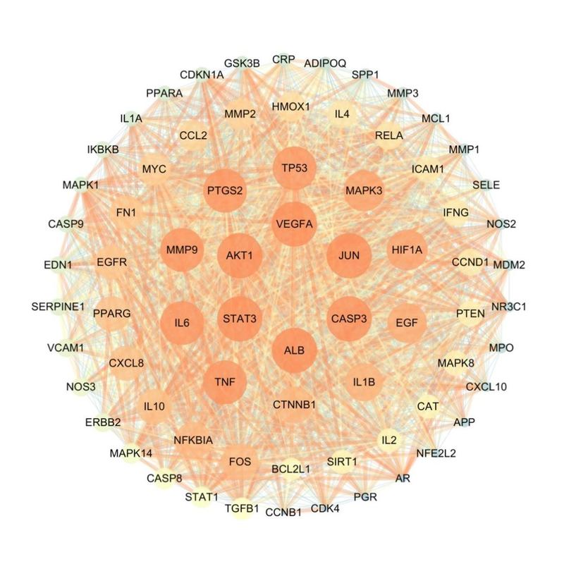 生信分析定制服务2-9分TCGAGEO数据库挖掘差异基因富集单细胞测序