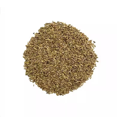 狗尾巴草种子发芽率高当季新种