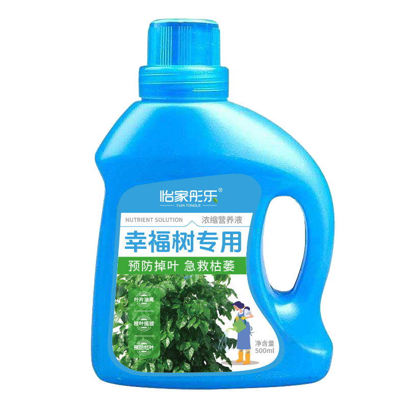 幸福树专用营养液叶斑病黄叶烂根