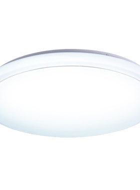 LED简约现代卧室110V吸顶灯
