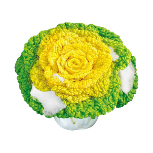 黄心乌菜种种子种籽乌塌菜黑菜雪里金花青菜蔬菜孑乌塔冬季菜籽苗