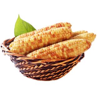 25新东北花糯粘玉米棒10支老品种小园玉米有嚼劲彩糯真空玉米棒
