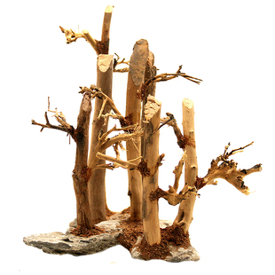 鱼缸造景沉木树森林一木成景莫斯树草缸水族懒人树小树林成品骨架