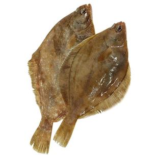 深海鲽鱼整条蝶鱼中段碟鱼大号新鲜冷冻海水鱼偏口鱼鸦片鱼比目鱼
